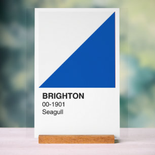 Brighton Seagull Blau und Weiß - Weißer Hintergrun Acrylschild