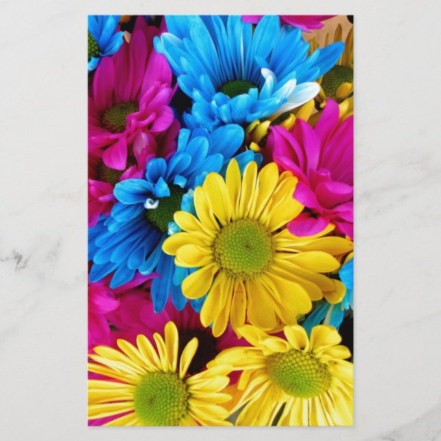 Brihell Colored Daisies Briefpapier (Vorderseite)