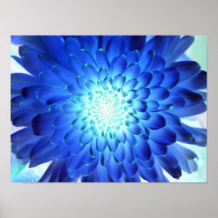 Brillante blaue Blume Makro. Gelbnegativ Poster
