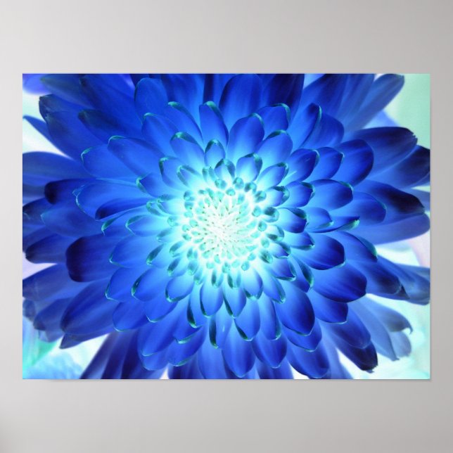 Brillante blaue Blume Makro. Gelbnegativ Poster (Vorne)