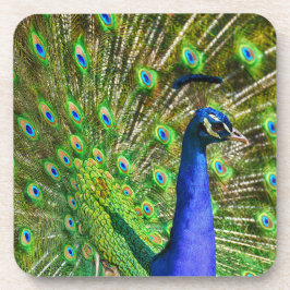 Brillante Blue Peacock Beauty Coaster Getränkeuntersetzer