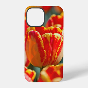 Brillante Farbtulpen iPhone 12 Pro Hülle