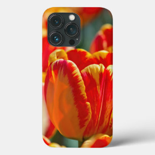 Brillante Farbtupfer Case-Mate iPhone Hülle