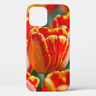 Brillante Farbtupfer Case-Mate iPhone Hülle