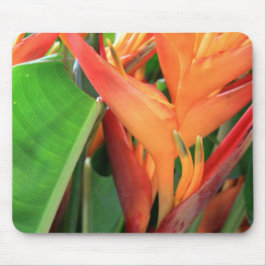 Brillante Heliconia Tropical Blume Mousepad