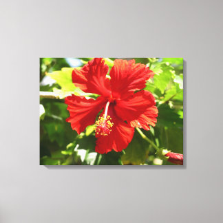 Brillante Red Hibiskus Blume Canvas Print Leinwanddruck