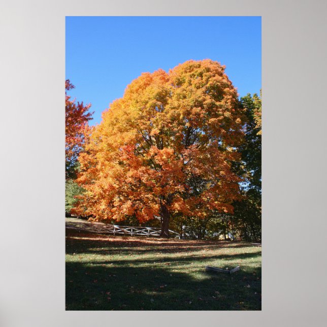 Brillanter Herbstbaum – Hubbell, Michigan Poster (Vorne)