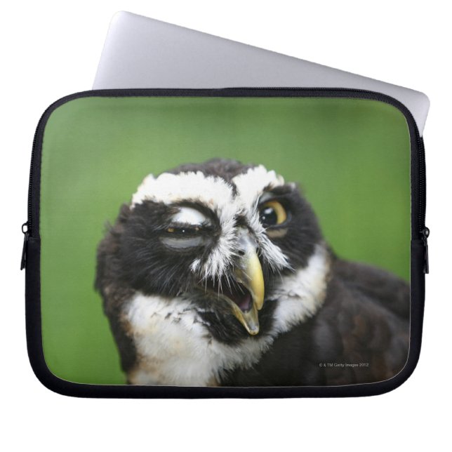 Brille (Pulsatrix perspicillata) Laptopschutzhülle (Vorderseite)