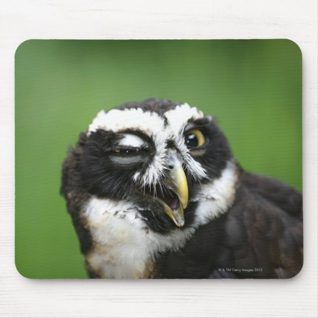 Brille (Pulsatrix perspicillata) Mousepad (Vorne)