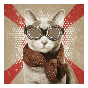 Brille tragende Katzenschal Retro-Flagge-Porträt Fotodruck