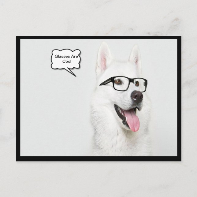 Brillen sind Cooler Hund Postkarte (Vorderseite)