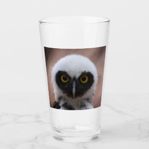 Brillenkauz Glas