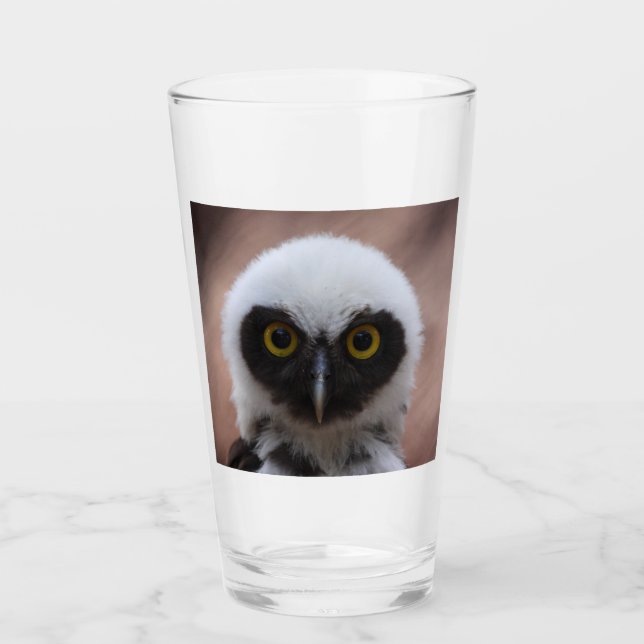 Brillenkauz Glas (Vorderseite)