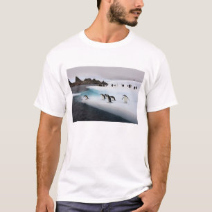 Brillenpinguine T-Shirt