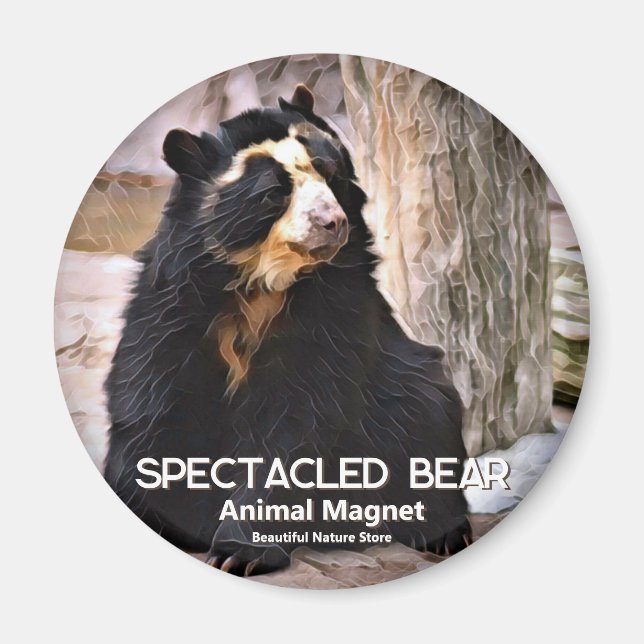 Brillenschweinbär Magnet (Vorne)