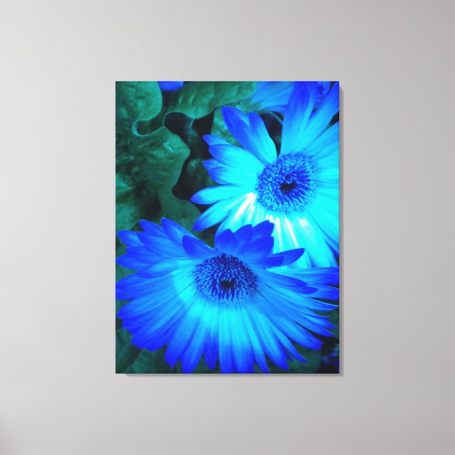Brilliant Blue Daisies Wrapped Canvas Leinwanddruck (Vorderseite)