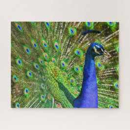 Brilliant Blue Peacock Jigsaw Puzzle