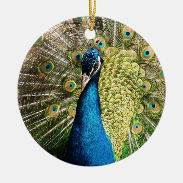 Brilliant Blue Peacock Keramik Ornament (Vorne)