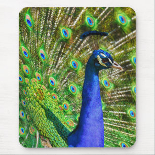 Brilliant Blue Peacock Mousepad