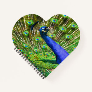 Brilliant Blue Peacock Notizbuch