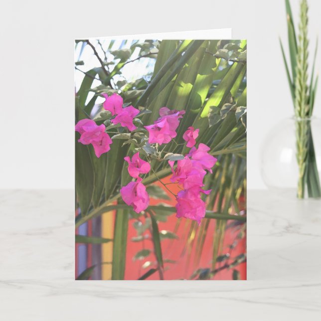 Brilliant Bougainvillea Karte (Vorderseite)