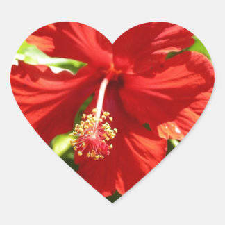 Brilliant Red Hawaiian Hibiskus Blume Herz-Aufkleber