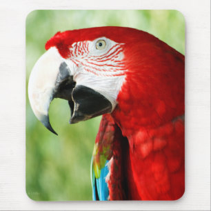 Brilliant Red Mousepad