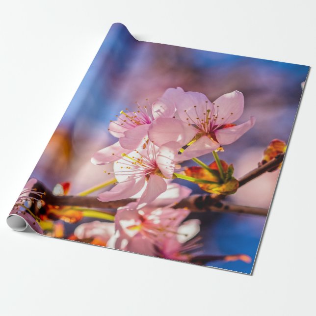 Brilliant Sakura-Blüten Geschenkpapier (Ungerollt)