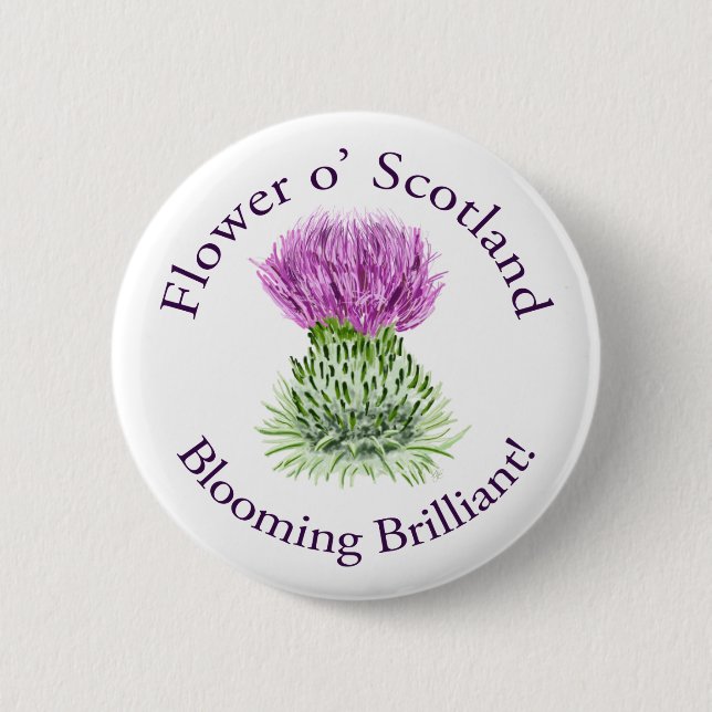 Brilliant Scottish Thistle blühen Button (Vorderseite)