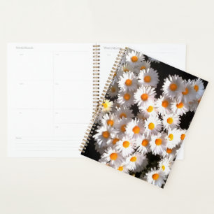 Brilliant White Daisies über Schwarze Flora Kunst Planer