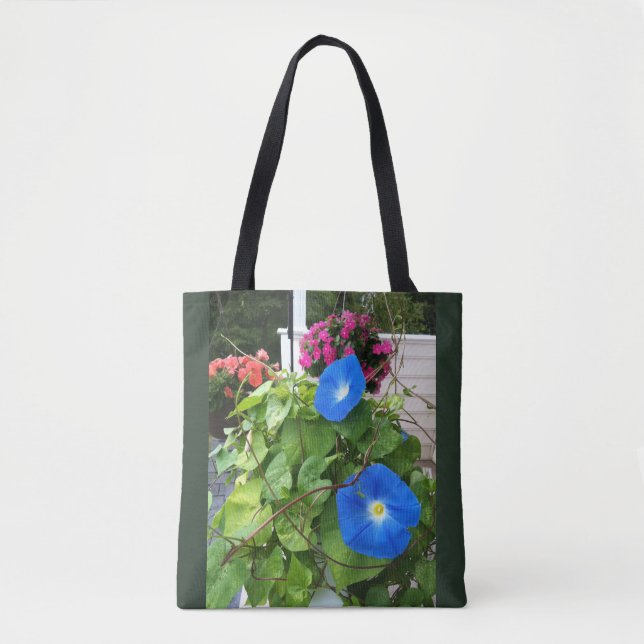 Brilliante Blaue Trichterwinden (Vorderseite)