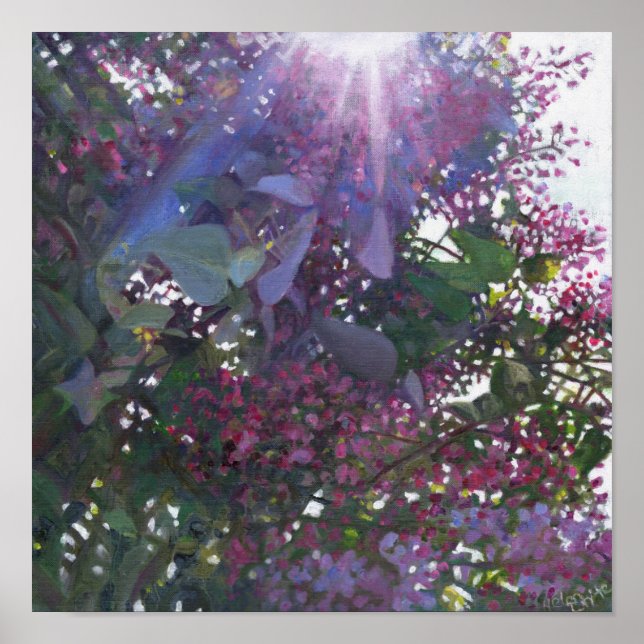 Brillianz 2014 poster (Vorne)