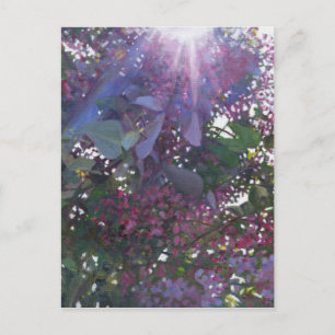 Brillianz 2014 postkarte