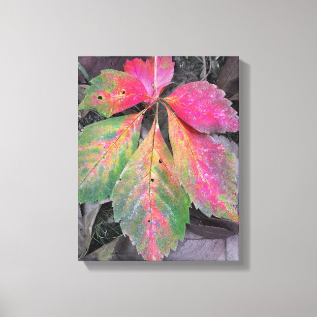 Brillianz unter Grau - Herbstleaf Leinwanddruck (Vorderseite)