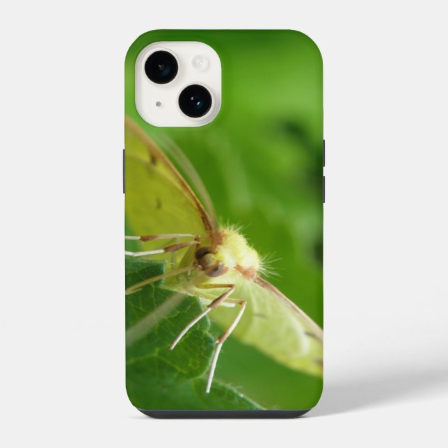 Brimstone Moth iPhone Hülle (Rückseite)