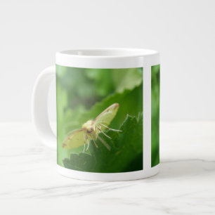 Brimstone Moth-Tasse Jumbo-Tasse