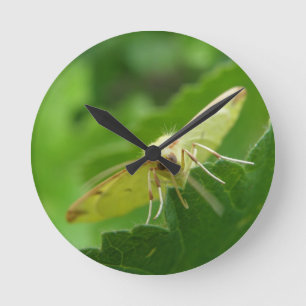 Brimstone Moth Wall Clock Runde Wanduhr