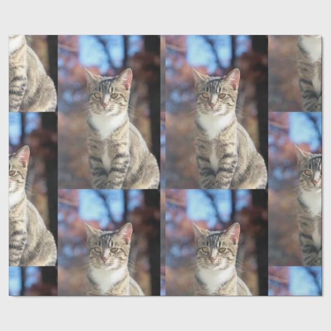 Brin Geschenkpapier (Saum)