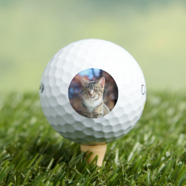 Brin Golfball (Insitu T-Shirt)