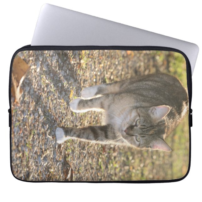 Brin Laptopschutzhülle (Vorderseite)