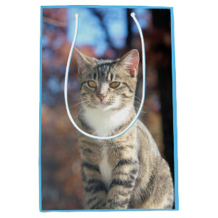 Brin Mittlere Geschenktüte
