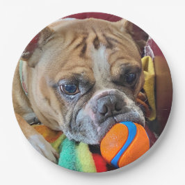 Brindle Boston Terrier Paper Plate Pappteller