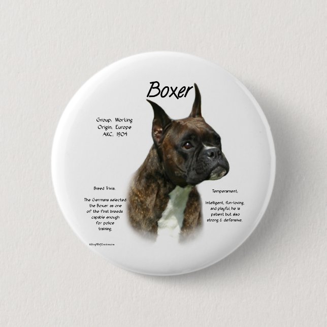 Brindle Boxer History Button (Vorderseite)
