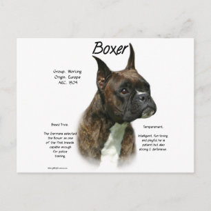 Brindle Boxer History Postkarte