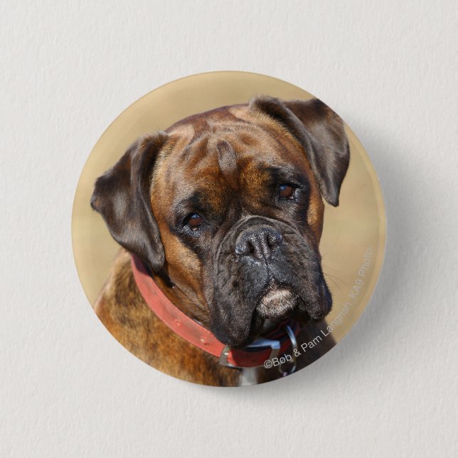 Brindle Boxer-Hund Button (Vorderseite)