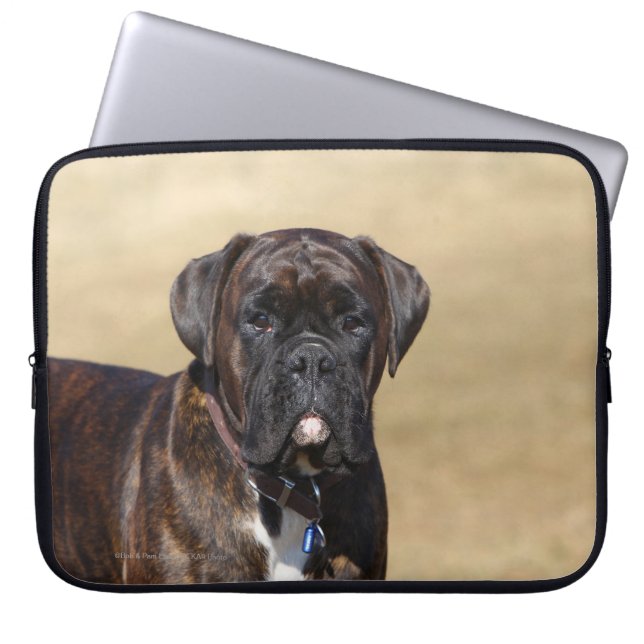 Brindle Boxer-Hund stehend Laptopschutzhülle (Vorderseite)