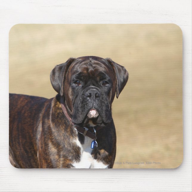 Brindle Boxer-Hund stehend Mousepad (Vorne)