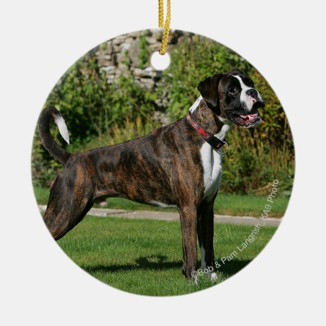 Brindle Boxer-Hundeshow-Position Keramikornament (Vorne)