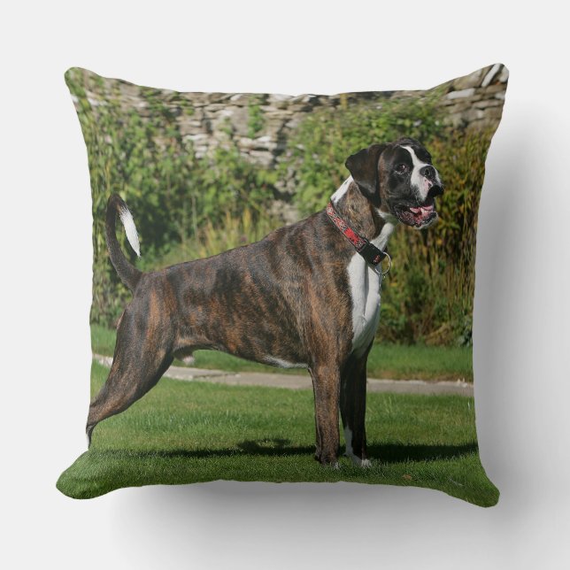 Brindle Boxer-Hundeshow-Position Kissen (Vorderseite)