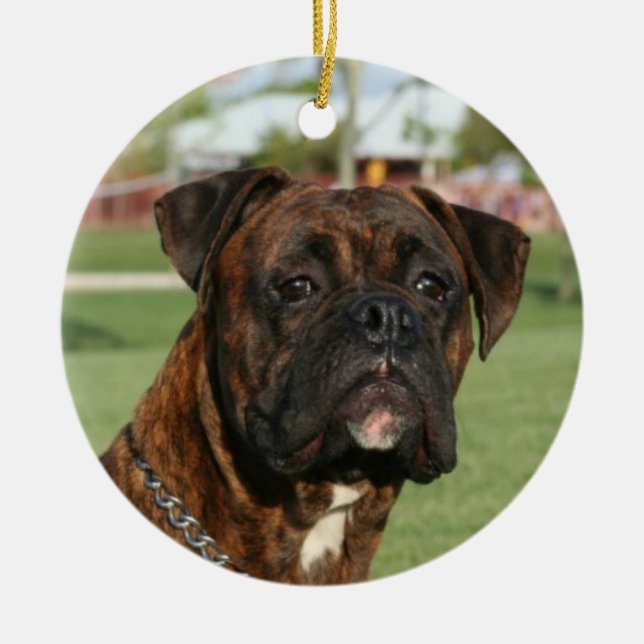 Brindle boxer ornament (Vorne)